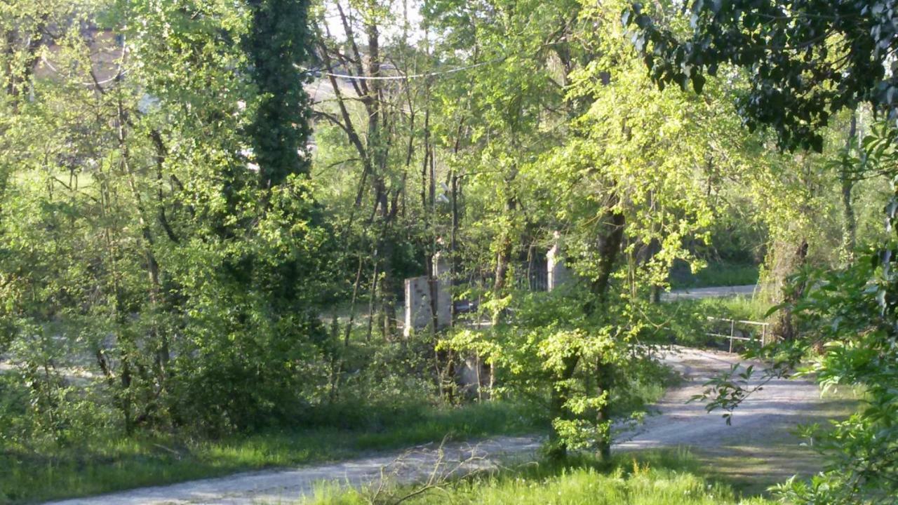Casa Nel Bosco Bed and Breakfast Reggio nell'Emilia Buitenkant foto